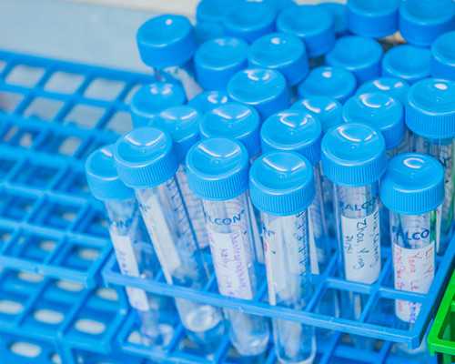 单身女性试管助孕选择指南与代妈同济医院介绍