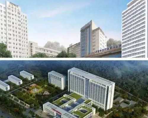 老挝代母费用解析,代妈地区试管婴儿技术及三代试管花费指南