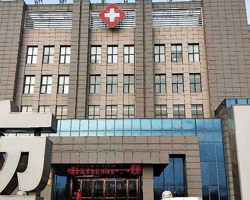 月经期食用枸杞的注意事项与饮食指南