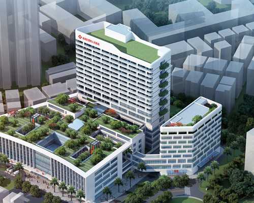 香港验血6周与7周检查差异及验血前准备事项