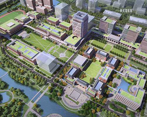 厦门代妈试管助孕机构排名及地中海贫血对儿童发育影响解析