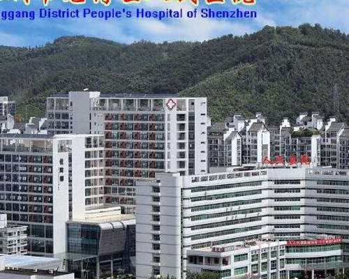 代妈宁儿妇产医院全球招募377个岗位虚位以待