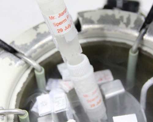 2024北京试管助孕医院排名与代怀服务指南