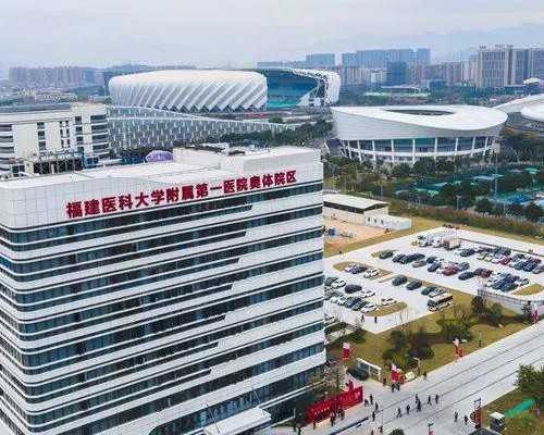 备孕指南：叶酸功效与科学服用技巧