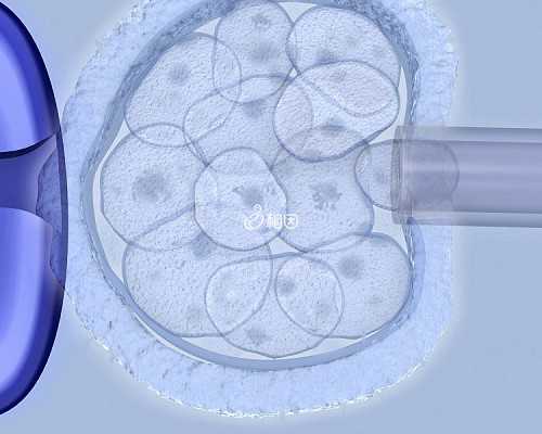代妈科兴疫苗有效性不低为何被传停产及优秀试管医院推荐
