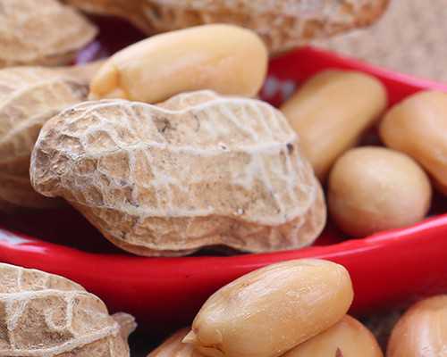 代妈亲子鉴定医院与费用解析及助孕相关指南