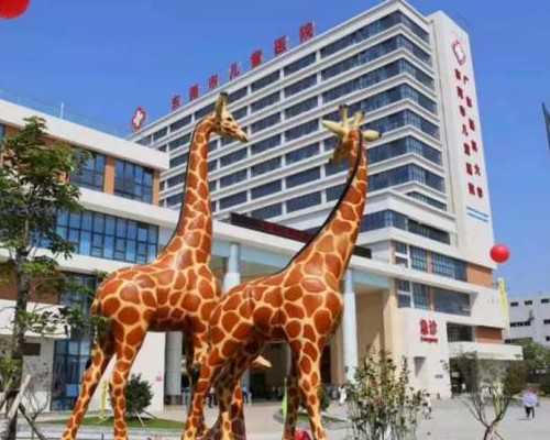 备孕饮食全攻略：营养要素解析与助孕饮食调整策略