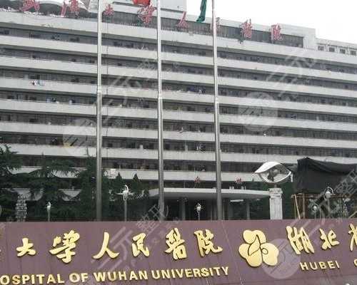 宁儿妇产医院全球招募377个岗位，助力代生服务