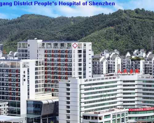 代妈地区第三代试管婴儿费用解析及助孕步骤指南